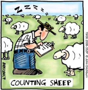 2006-352P-counting-sheep